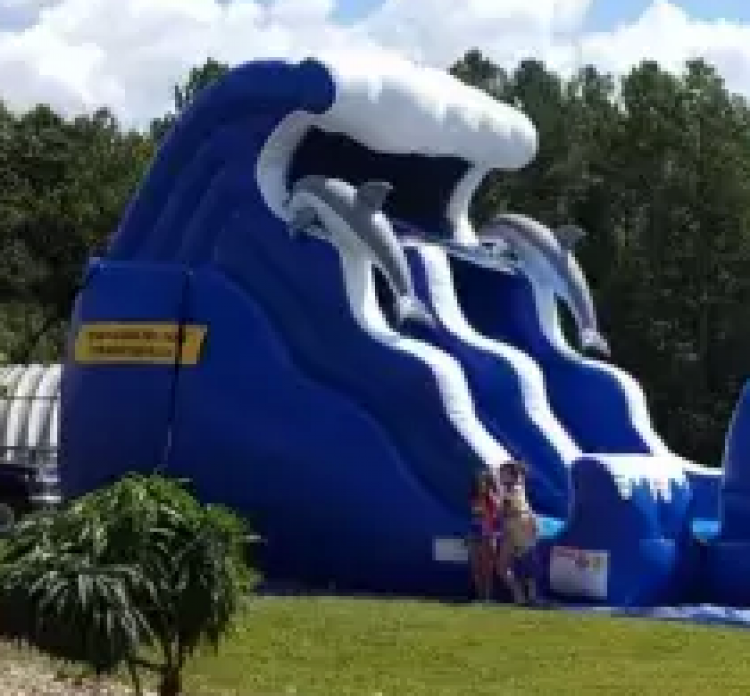 18' Dolphin Wave Double Drop Water Slide - Bounce House Rentals in ...