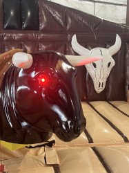 Mechanical Bull